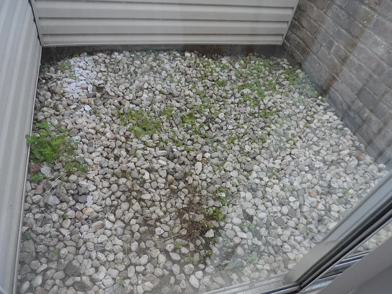 Atrium (off master bath)