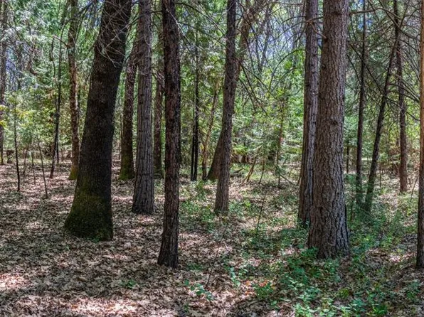 6107 Oakley Ln, Foresthill, CA 95631