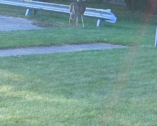 5th image of 37834 Longacre Dr