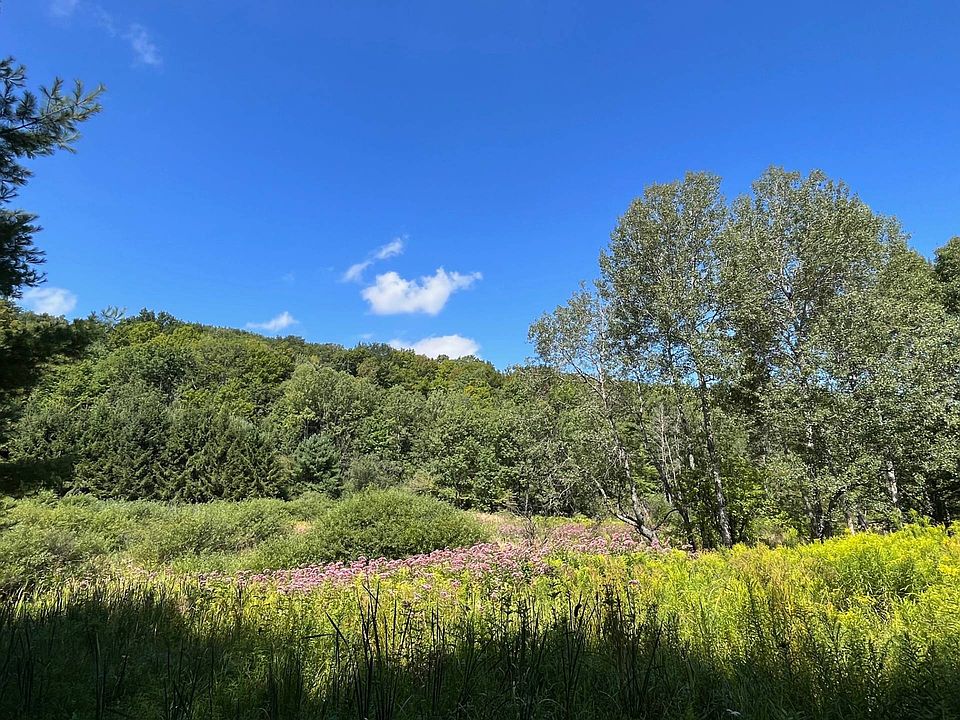 Vl E Otto Springville Rd, East Otto, NY 14729 MLS 11203144 Zillow