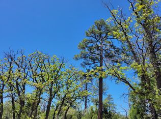 7112 Horizon Cir, Happy Jack, AZ 86024