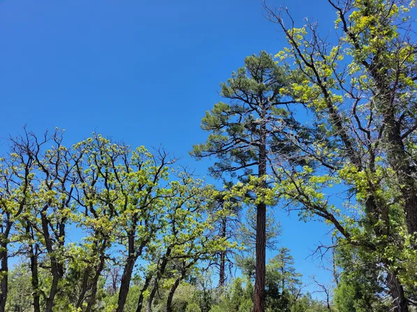 7112 Horizon Cir, Happy Jack, AZ 86024