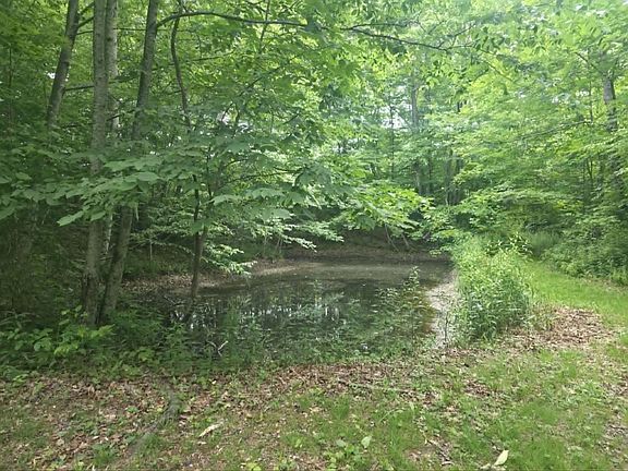 4th image of 455 Jettsville Rd