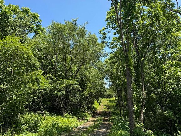 2nd image of LOT East Dr