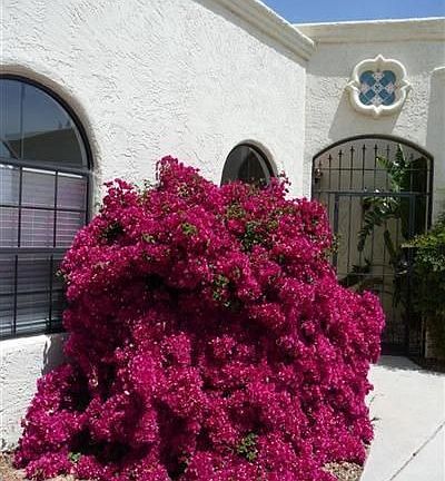 2nd image of 2748 W Calle San Manuel