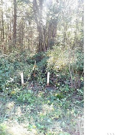Boundary markers on Cape George Rd. 