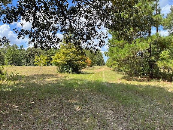 4th image of 17960 Country Place Dr