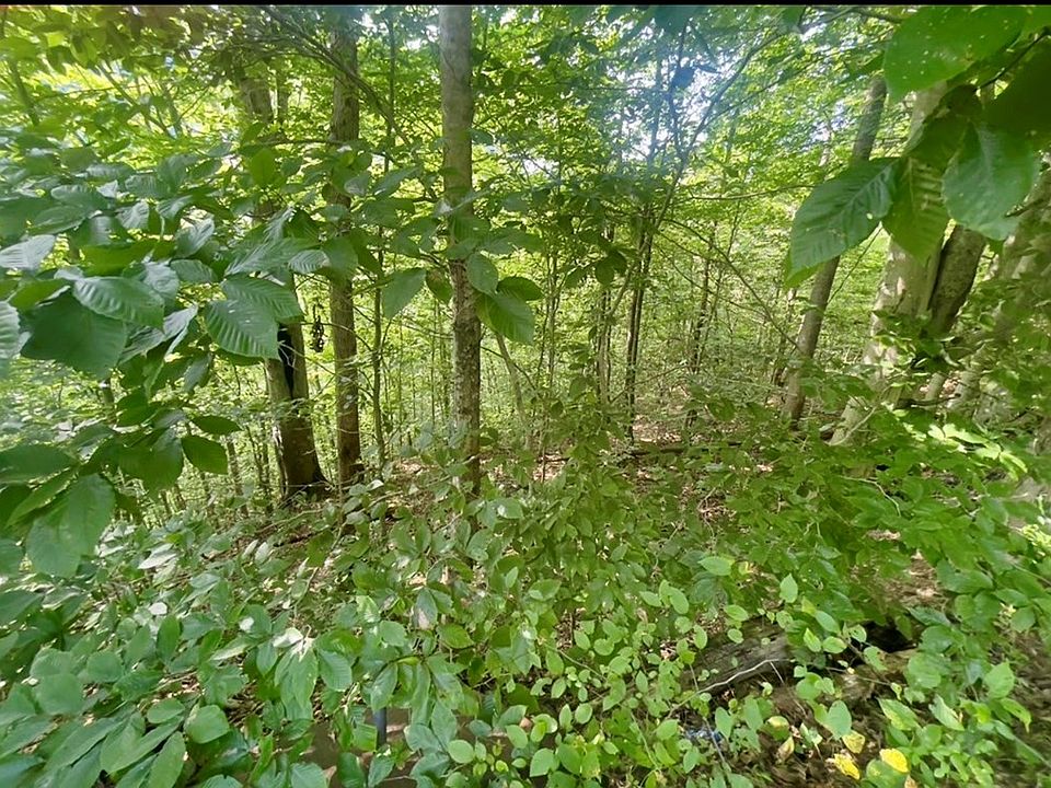 2nd image of 550 Left Fork Maces Creek Rd