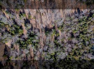 LOT 4 W Horseshoe Lake Rd, Bigfork, MN 56628