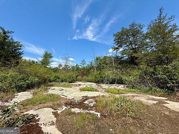 5th image of Irwin Bridge Rd NW