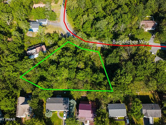 3rd image of Bumble Bee Way #486