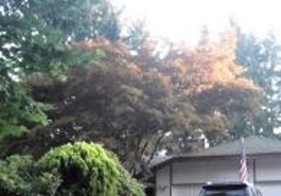 1st image of 10910 SE 281st St