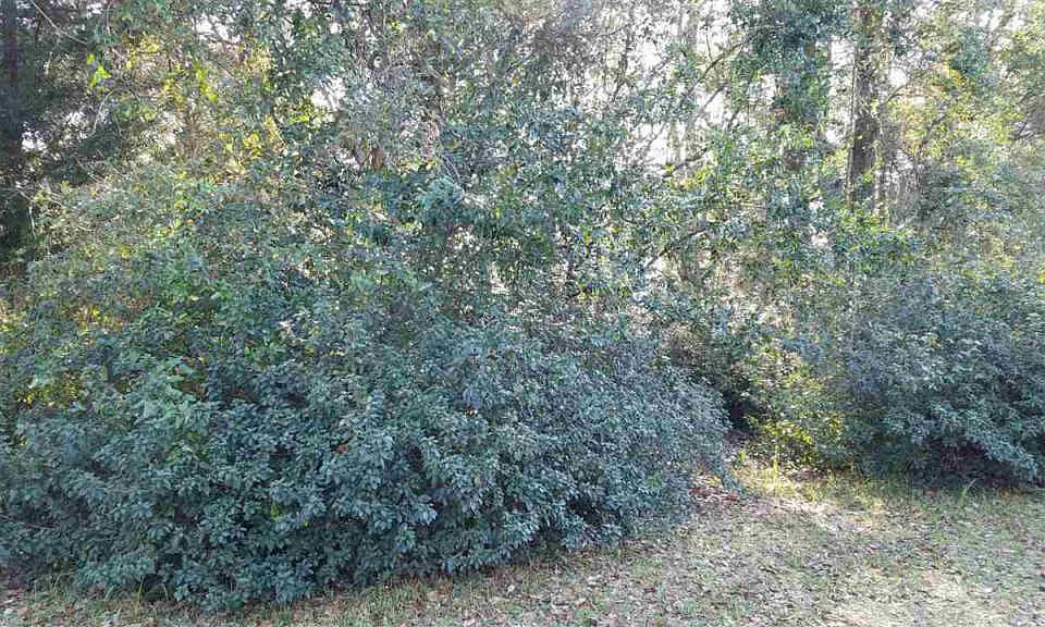 2nd image of 2 Hillcrest Rd