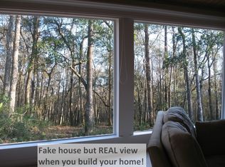 2867 S Periwinkle Ave, Middleburg, FL 32068