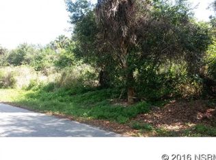 2729 Needle Palm Dr, Edgewater, FL 32141