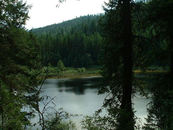 3rd image of 49XX Sheep Creek Rd