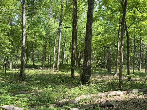 0 Millersburg Rd, Christiana, TN 37037