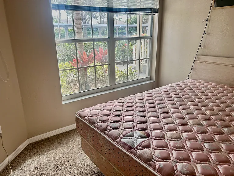 Orchid Bay Dr — Photo 27