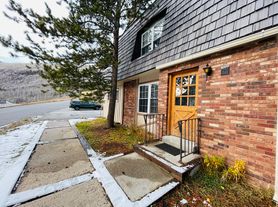 4093 Spruce Way, Vail, CO