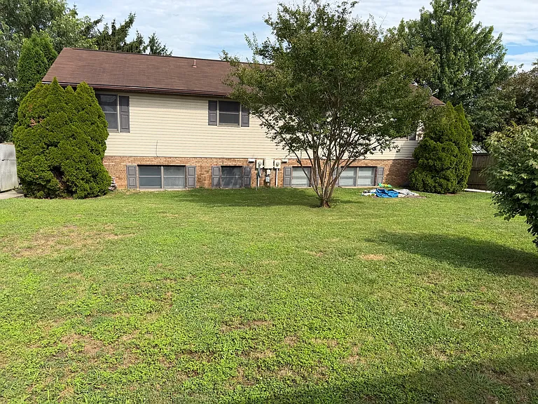 Lovely rear yard