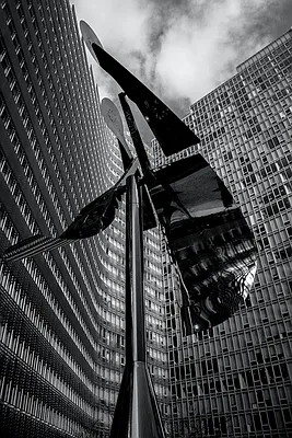 Rented by Two Trees | media 40