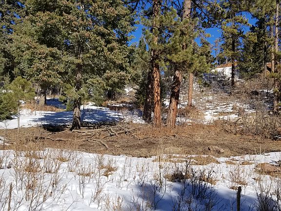 Looking north towards road.