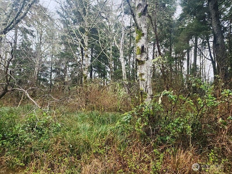 1st image of 670 Weatherwax Loop NE
