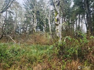 670 Weatherwax Loop NE, Ocean Shores, WA