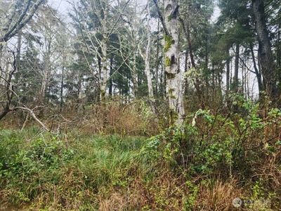 670 Weatherwax Loop NE, Ocean Shores, WA, 98569