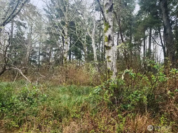 670 Weatherwax Loop NE, Ocean Shores, WA 98569
