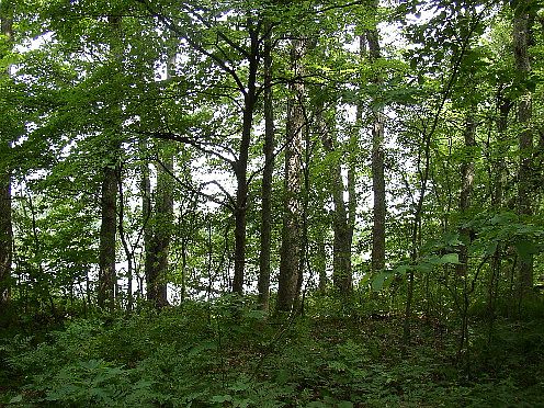 3rd image of Long Lake Rd