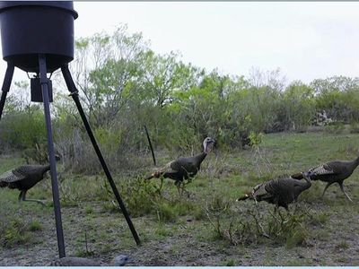 537 S Highway 72, Three Rivers, TX, 78071