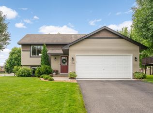 1358 Birch Dr, Mayer, MN 55360