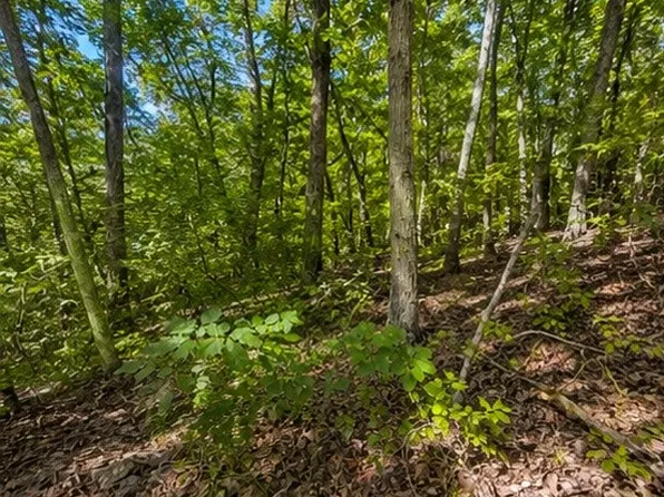 0 Swiper Dr Lot 50, Smithville, TN 37166
