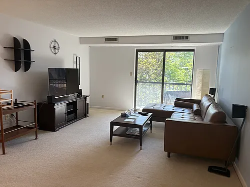 23 Elm St #208 Photo 1