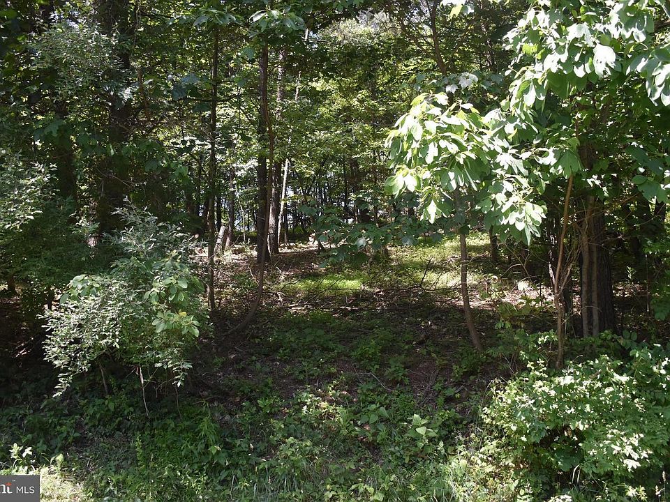 2nd image of 1199 Wynonah Dr