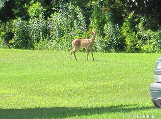 6516 Conesus Sparta Tl Rd, Conesus, NY 14435