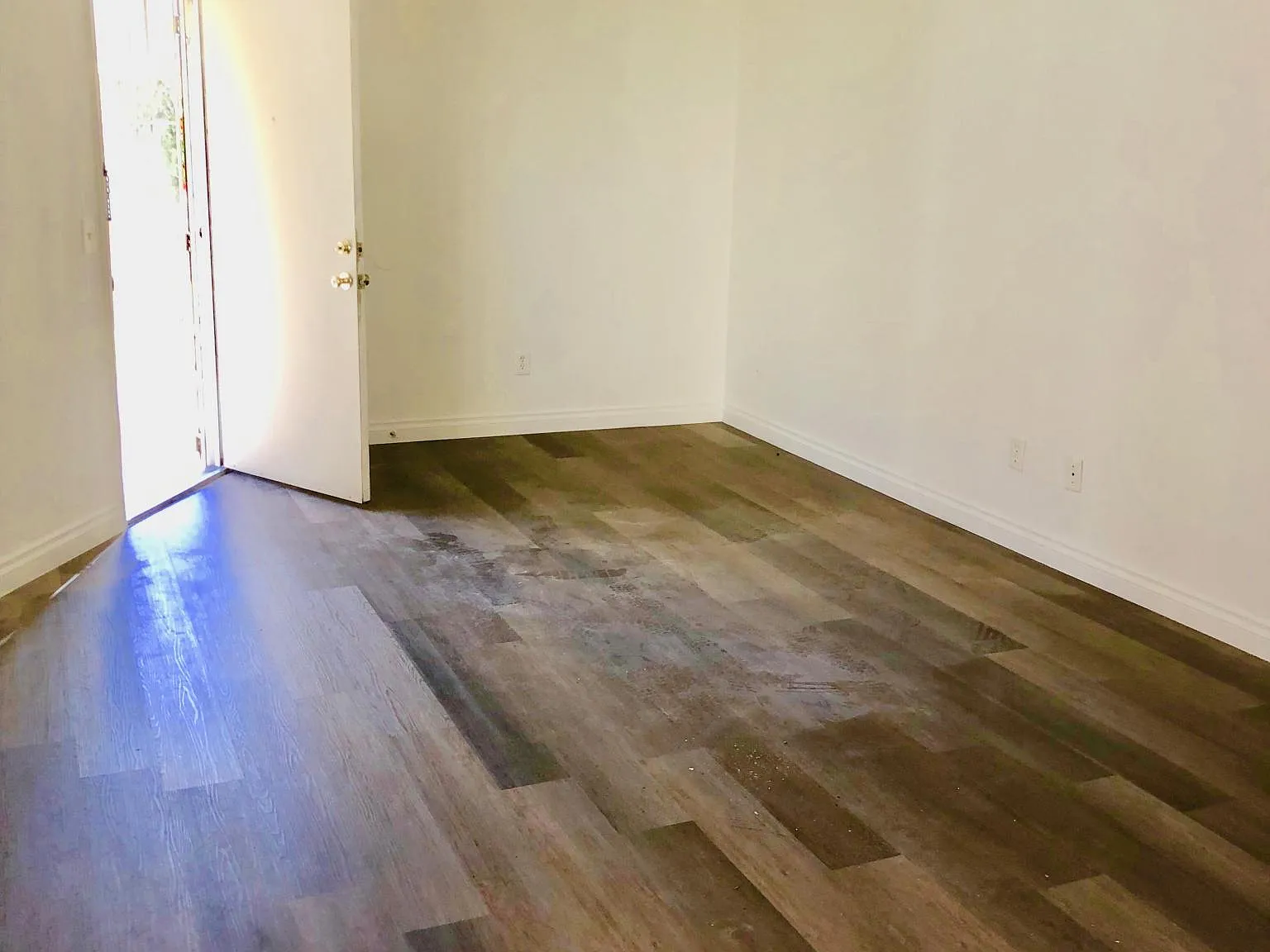 1 bed, 550 sqft, $1,595 — Photo 2