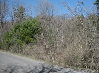 0 Dolge Ave, Dolgeville, NY 13329