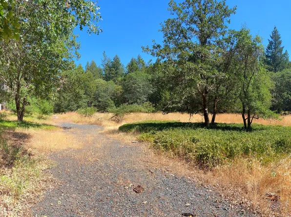 101 McMullen Creek Rd, Selma, OR 97538