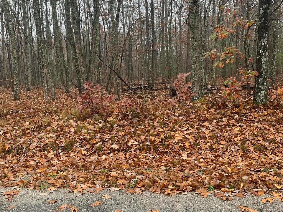 2nd image of 42 Lancaster Ct