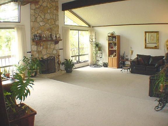 Formal Vaulted Living Room