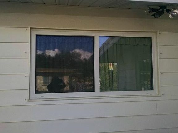 4th image of 827 Trotter Ave