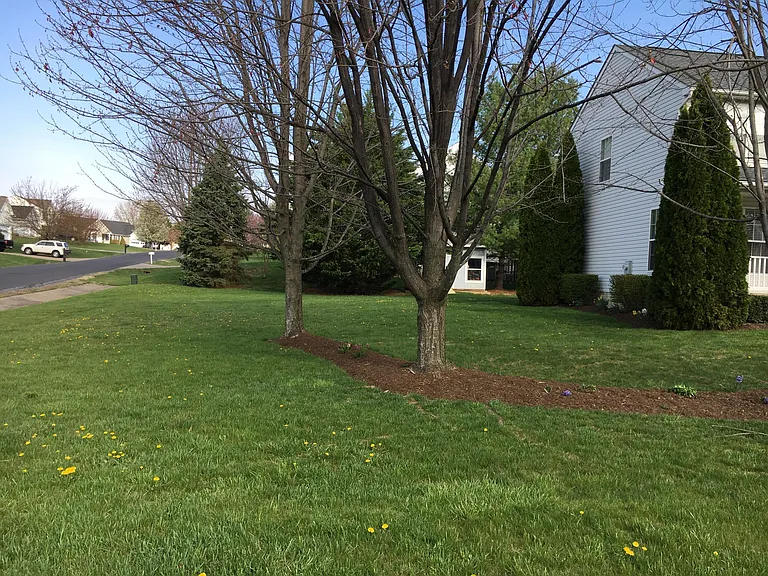 301 Jackson Dr — Photo 5