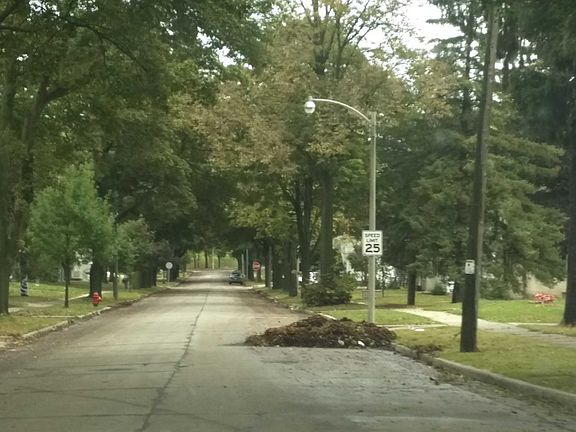4th image of 3314 W Oriole Dr