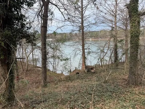 0 Cove Road, Abbeville, AL 36310