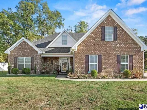 3144 Brookstone Dr, Effingham, SC 29541