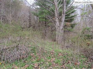 TBD NC Hwy 88 W, Creston, NC 28615