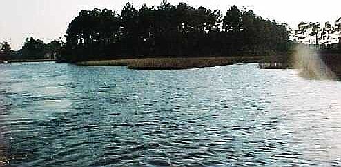 Backside view 3.8 Ac. island