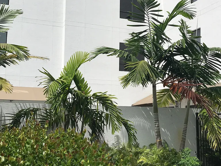 The Pershing — Photo 6